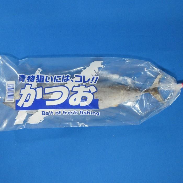 メヂカ カツオ幼魚 １本袋入り 海上釣堀 日本 冷凍 メジカ かつお オープニング 大放出セール サシエサ