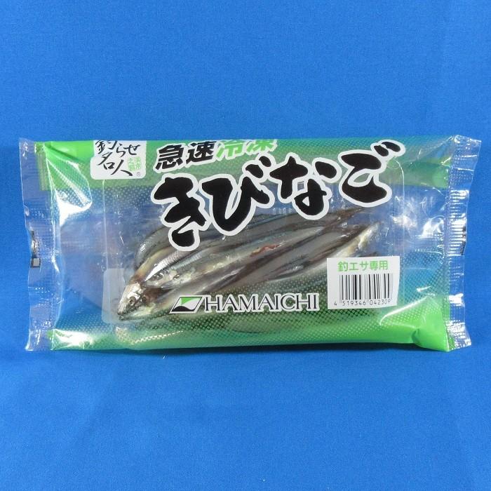 きびなご レギュラーサイズ 釣り餌 キビナゴ 海上釣堀 つりえさ 釣餌