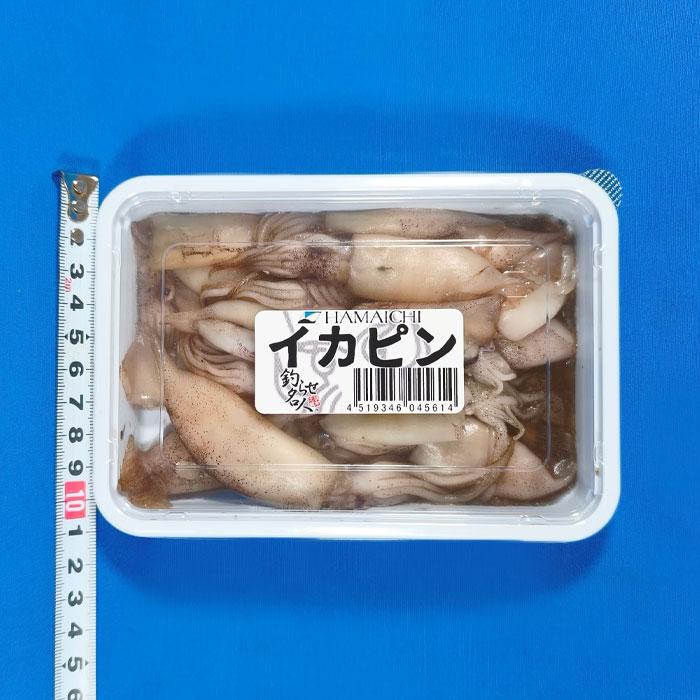 イカピン 釣り餌 いか 釣りえさ 海上釣堀 イカ つりえさ サシエサ 冷凍
