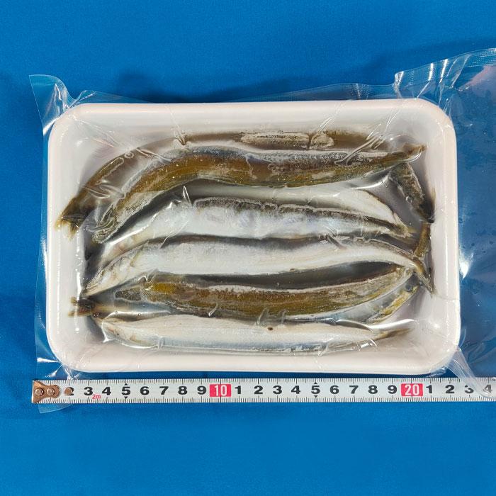 おさかな 津本式×W-PHマット おさかな寝かせてシート 緑 150×220mm 50枚入