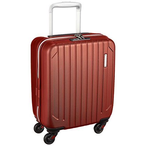 [サンコー] スーツケース ジッパー SKYMAX-S 機内持ち込み可 消音/静音キャスター SAAS-38 21L 38 cm 2.3kg エンボス