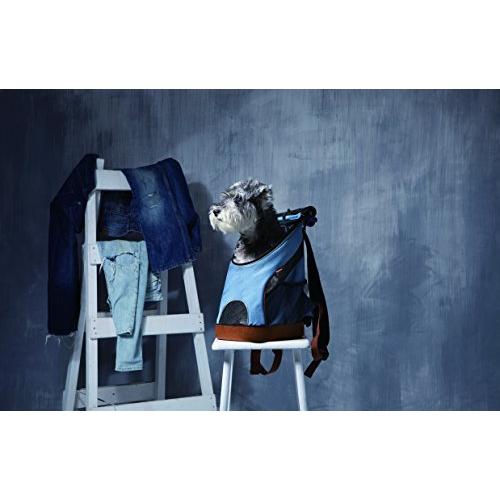 ライトウエイトバックパックキャリー S デニム 91R75vLktRL._UF894,1000_QL80_.jpg