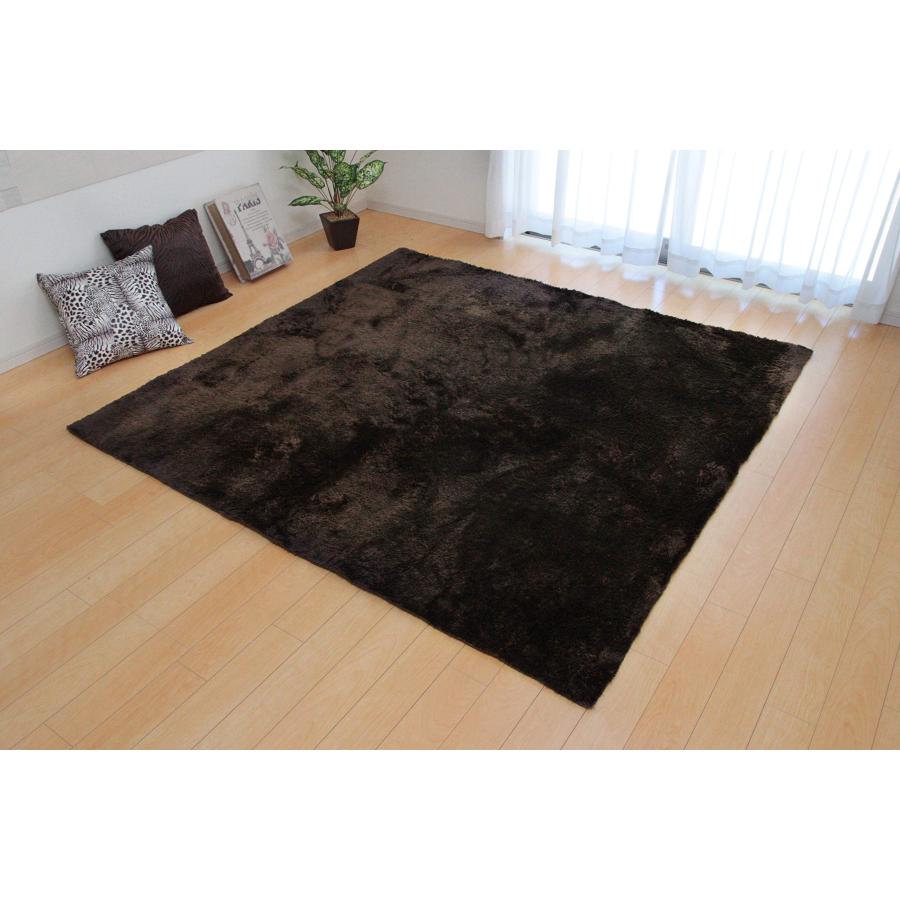 イケヒコ・コーポレーション ラグ カーペット 4畳 無地 シャギー調 選べるカラー ラルジュ ブラウン 約200×300cm ホットカーペット対応 #