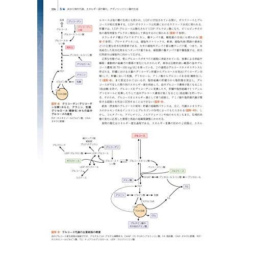 マークス臨床生化学 マ－クス臨床生化学 / マイケル・リーバーマン/アリサ・ピート