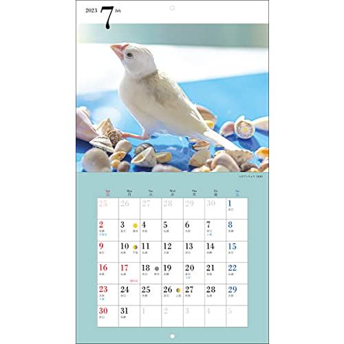 2023年カレンダー かわいい文鳥 (誠文堂新光社カレンダー)｜bluehawaii｜11