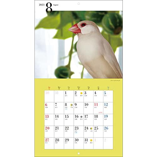 2023年カレンダー かわいい文鳥 (誠文堂新光社カレンダー)｜bluehawaii｜12