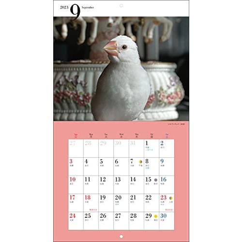 2023年カレンダー かわいい文鳥 (誠文堂新光社カレンダー)｜bluehawaii｜13