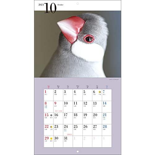 2023年カレンダー かわいい文鳥 (誠文堂新光社カレンダー)｜bluehawaii｜14