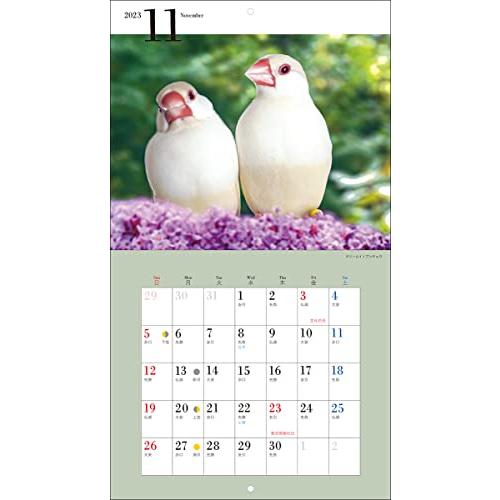 2023年カレンダー かわいい文鳥 (誠文堂新光社カレンダー)｜bluehawaii｜15