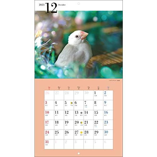 2023年カレンダー かわいい文鳥 (誠文堂新光社カレンダー)｜bluehawaii｜16