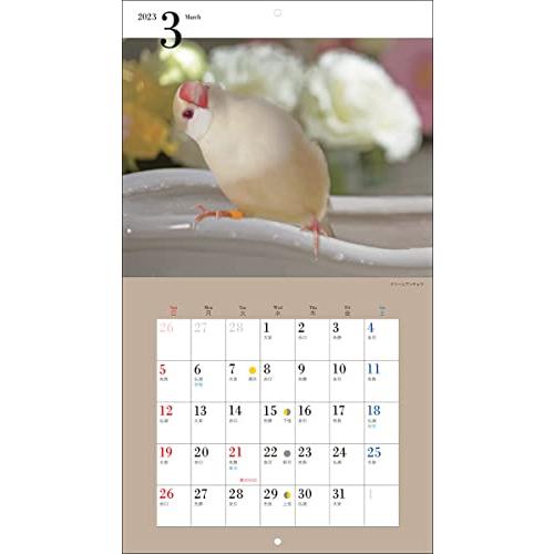 2023年カレンダー かわいい文鳥 (誠文堂新光社カレンダー)｜bluehawaii｜07