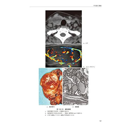 新耳鼻咽喉科学 : Blue Hawaii - 通販 - Yahoo!ショッピング