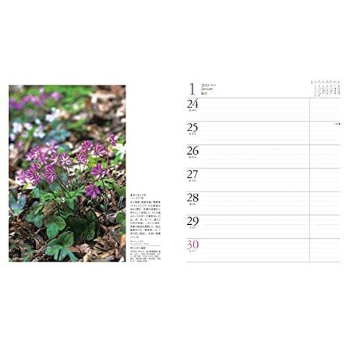 カレンダー2022 FLOWER CALENDAR フラワーカレンダー (週めくり・ダイアリー/日記・リング・卓上) (ヤマケイカレンダー2022)｜bluehawaii｜05