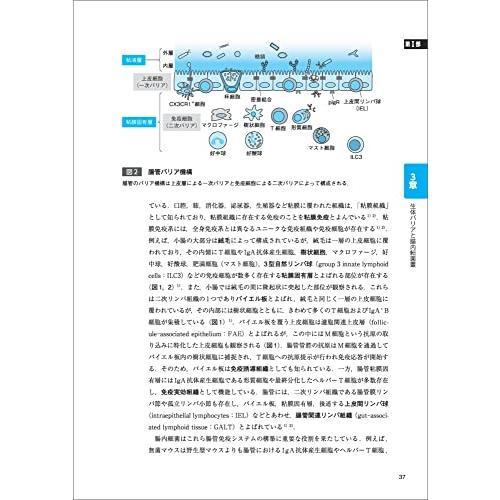 改訂版　もっとよくわかる！腸内細菌叢?“もう1つの臓器”を知り、健康・疾患を制御する！ (実験医学別冊　もっとよくわかる！シリーズ)｜bluehawaii｜04