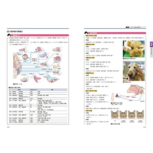 愛玩動物看護師必携テキスト : Blue Hawaii - 通販 - Yahoo