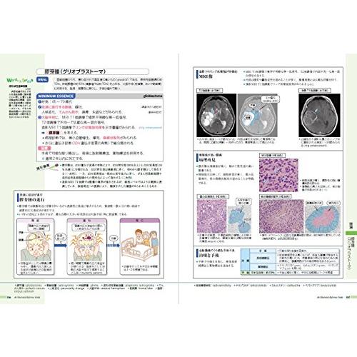 病気が見える7冊セット 818kSQGRMUL.jpg_BO30,255,255,