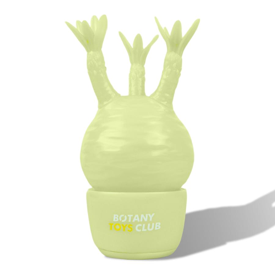 グラキリス フィギュア パキポディウムグラキリス ソフビ ソフビ