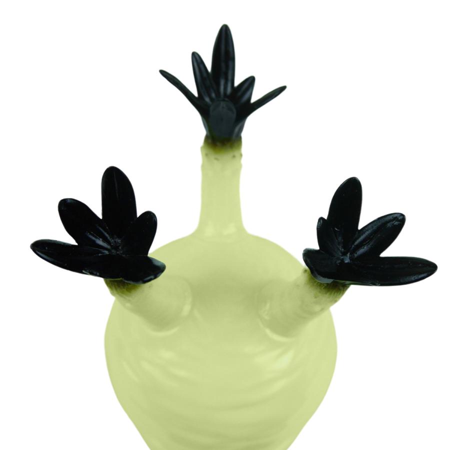 パキポディウム・グラキリス 【 ソフビ 】 sunscalif_btc-btc005