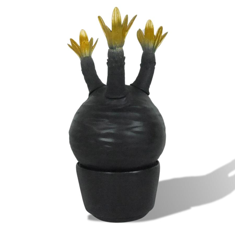 グラキリス フィギュア パキポディウムグラキリス ソフビ ソフビ