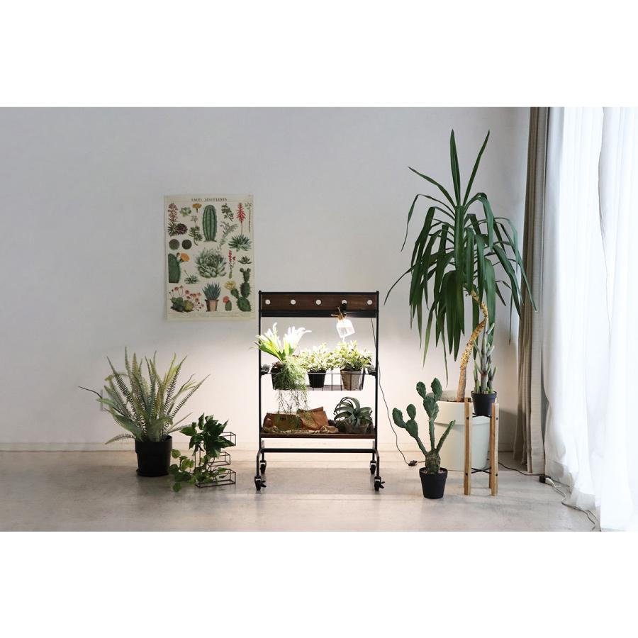 植物 棚 2段 植物用棚 植物棚 プランターワゴン インテリアワゴン キッチンワゴン ワゴン プランター 間接照明 室内 植物育成 木製 スリム 園芸 ラック おしゃれ :tom-54678770:Blueism 通販 | キッチンラック✨ | easyorder.com.ar 植物 棚 2段 植物用棚 植物棚 プランターワゴン インテリアワゴン キッチンワゴン ワゴン プランター 間接照明 室内 植物育成 木製 スリム 園芸 ラック おしゃれ :tom-54678770:Blueism 通販 | キッチンラック✨ | easyorder.com.ar