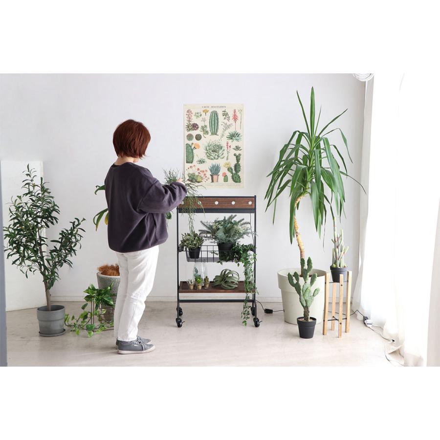 植物 棚 2段 植物用棚 植物棚 プランターワゴン インテリアワゴン キッチンワゴン ワゴン プランター 間接照明 室内 植物育成 木製 スリム 園芸ラック おしゃれ Tom Blueism 通販 Yahoo ショッピング