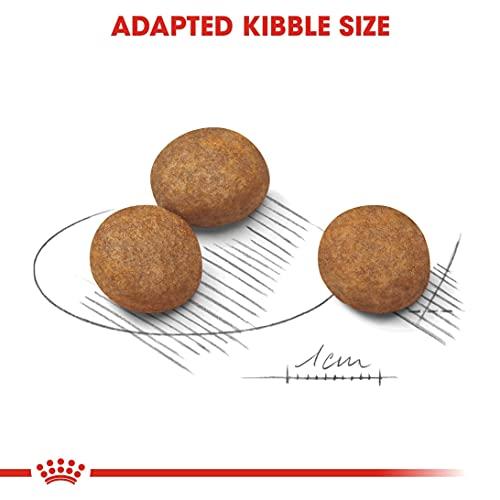 ロイヤルカナン SHN マキシ ジュニア 犬用 10kg SHN ジュニア 10kg ロイヤルカナン 犬用 マキシ GMS1338103263(12389円)