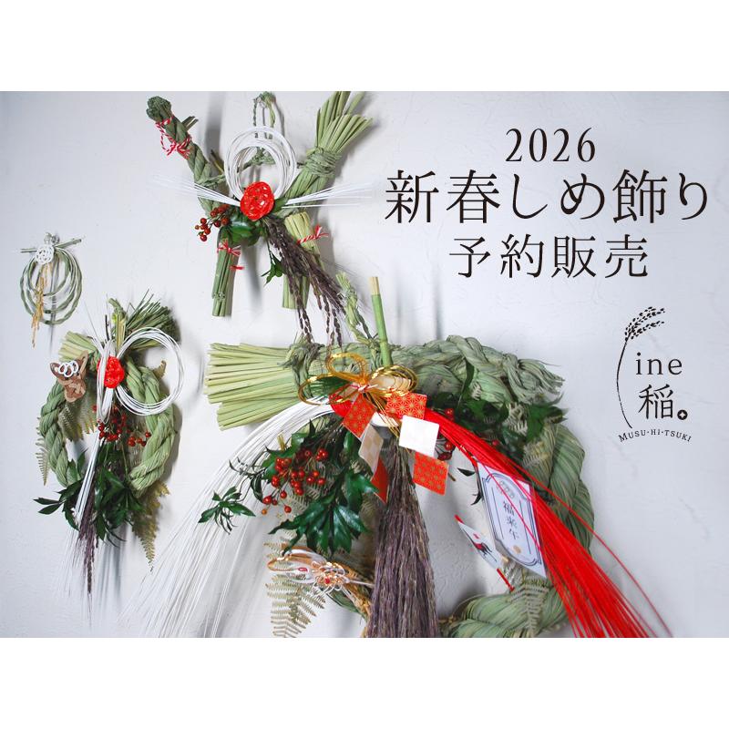 しめ飾り リース 正月飾り L 大 2026年 午年 水引 梅 玄関 おしゃれ