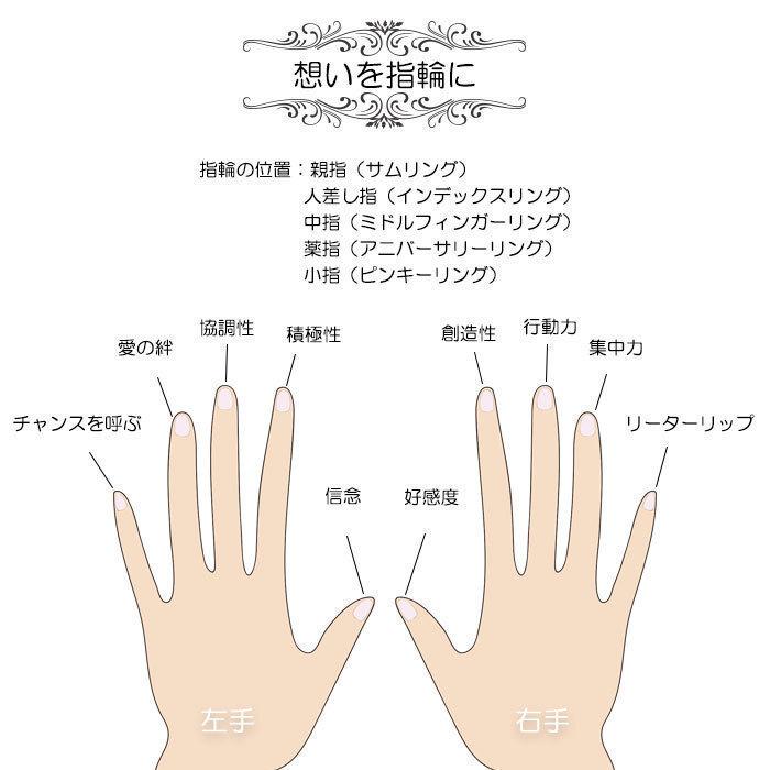 リング 指輪 ダイヤカット 2mm ステンレス 3~25号 安心素材 大人可愛い ジュエリー 金属アレルギー ピンキーリング ファランジリング｜blueleaf｜16