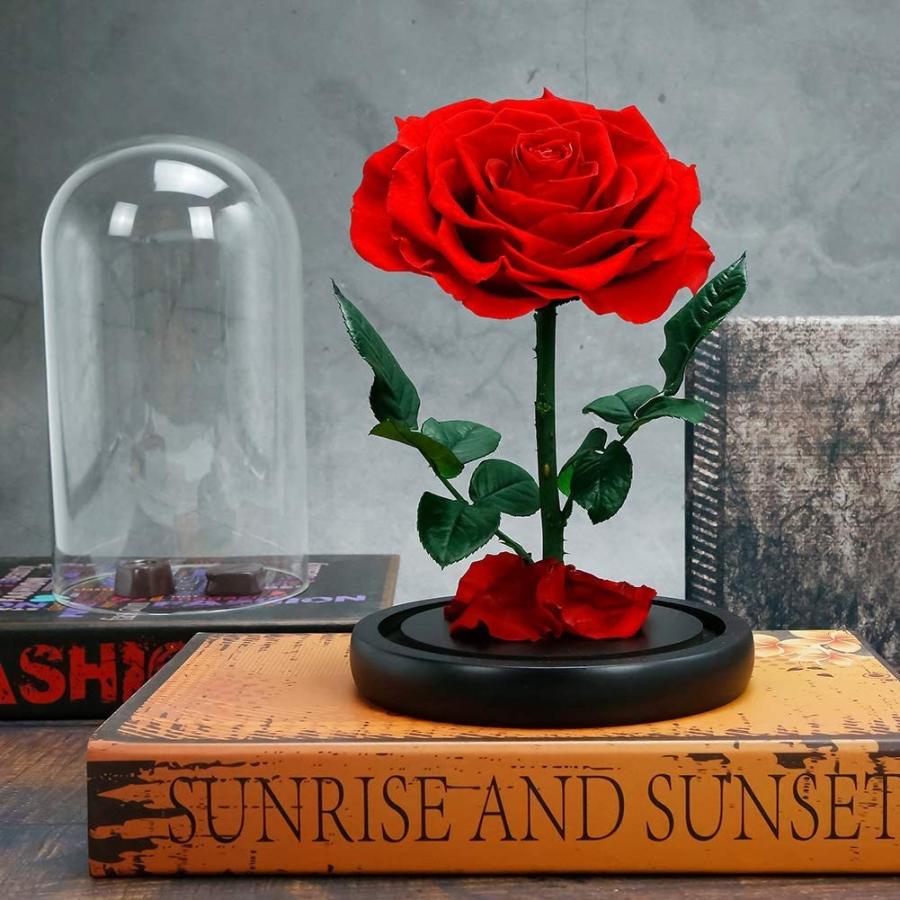 品質は非常に良い Rosmary 美女と野獣のバラ 本物バラ プリザーブドフラワーバラ 永遠の花 保存花 バレンタインデー クリスマス 母の日 結婚記念日 結婚式 誕生 その他木材 Roboticasustentavel Com Br