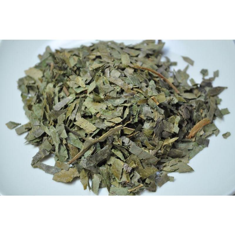 ハーブティー 柿の葉茶 50g ビタミンＣやミネラルが豊富 無添加 ノンカフェイン｜bluemoon-herb｜02