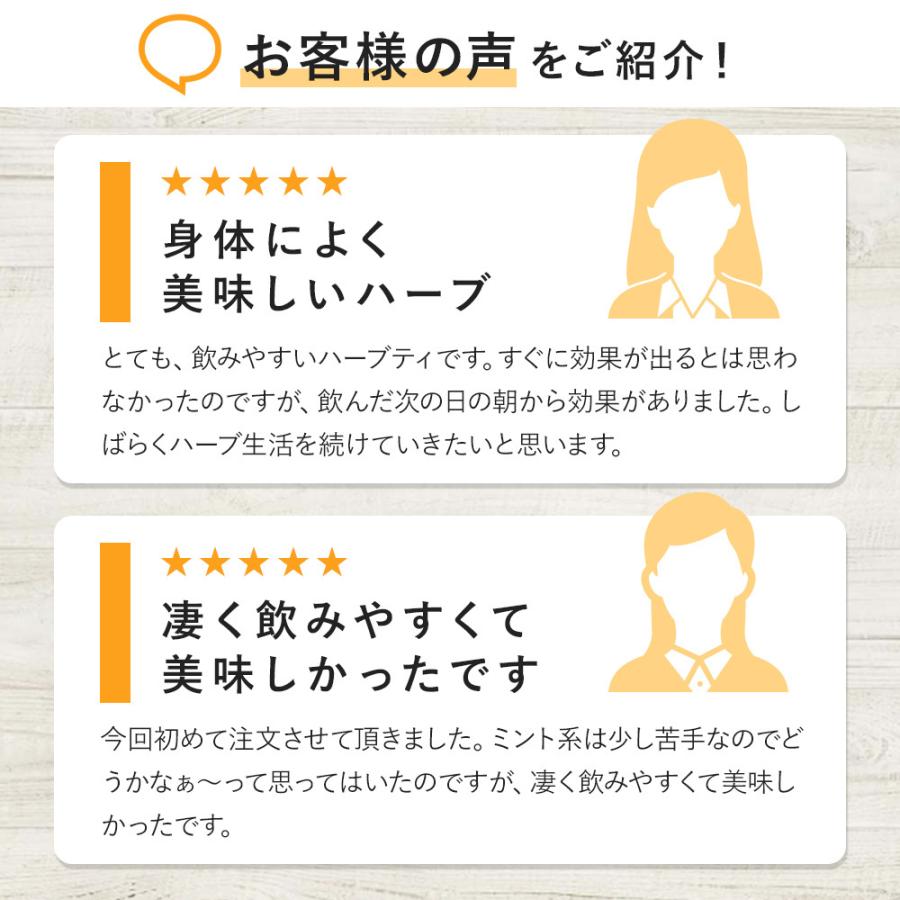 毒出ししませんかティー ティーバッグ 2g 12包 ハーブティー テトラパック ローズヒップとハイビスカスの定番ブレンドにペパーミント配合 Teabag 001 ハーブティー専門店ブルームーン 通販 Yahoo ショッピング