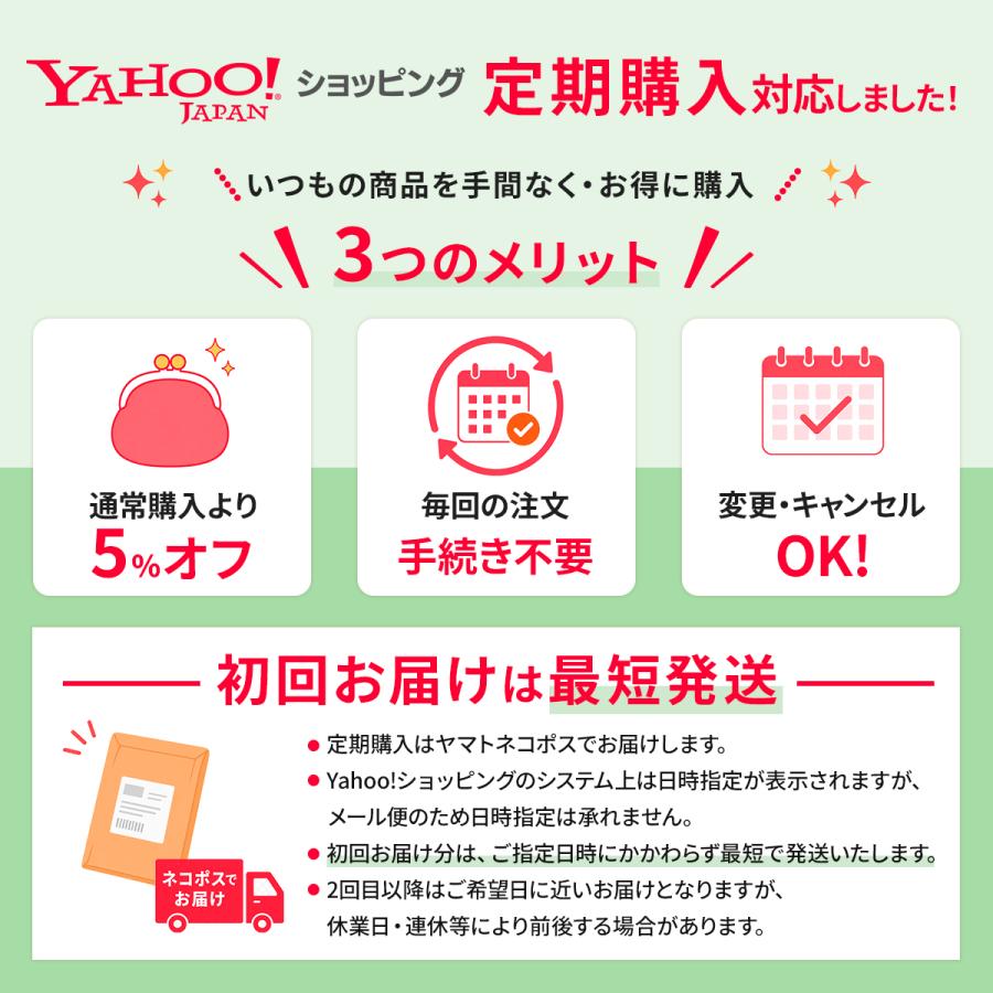 グリーンルイボスティー 最高級茶葉JP16使用 テトラパック 51包