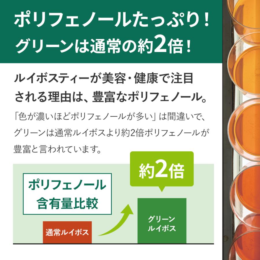 グリーンルイボスティー 最高級茶葉JP16使用 テトラパック 51包