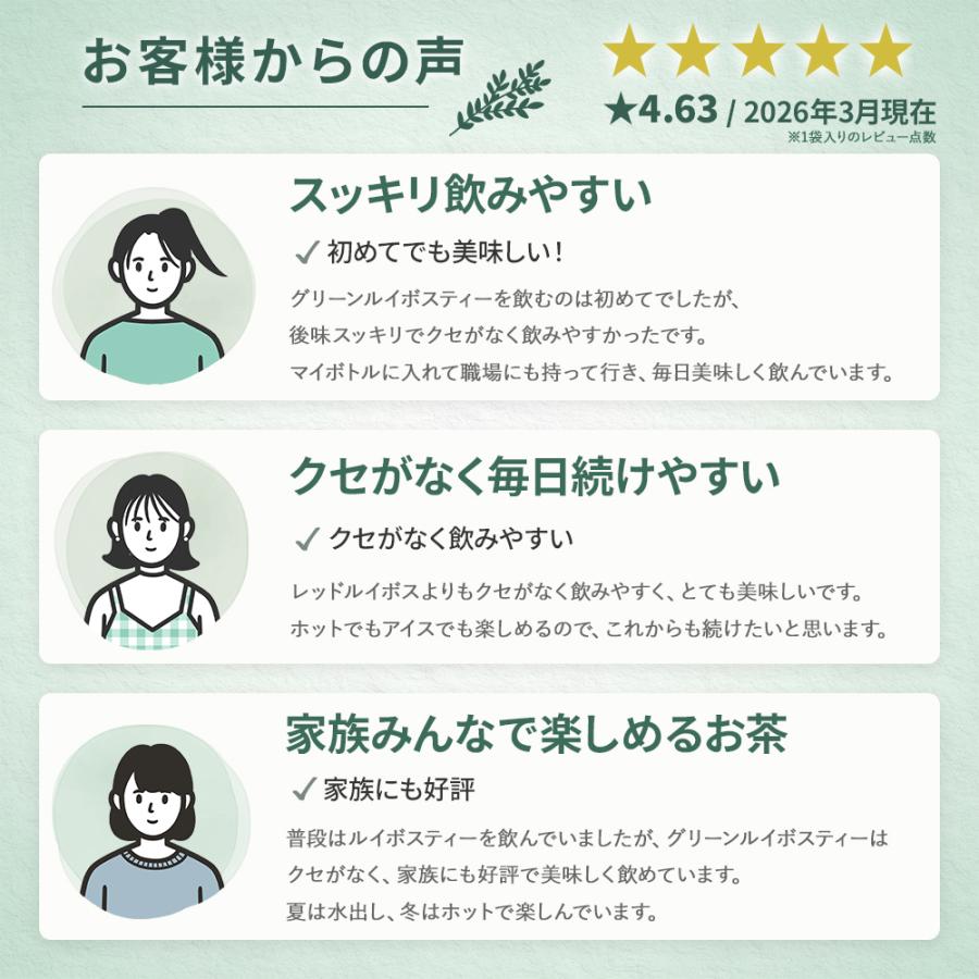 グリーンルイボスティー 最高級茶葉JP16使用 テトラパック お得な大袋