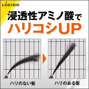 LUCIDO (ルシード) ヘアフォーム スーパーハード 185g｜bluenote-store｜02