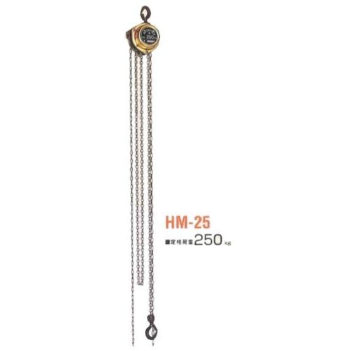 送料込み(一部地域除く)】 【建設荷役用品】象印 ホイストマン HM-25