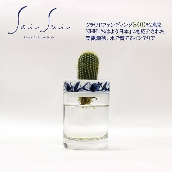 Saisui 染果実 サボテン 水耕栽培 フラワーベース 花瓶 1007 Blueplants 通販 Yahoo ショッピング