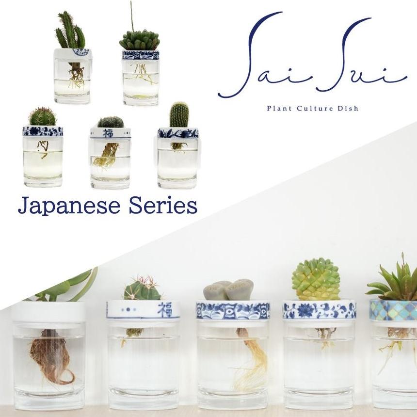 Saisui 和柄 サボテン 水耕栽培 フラワーベース 花瓶 Japanese Series Japanese Blueplants 通販 Yahoo ショッピング