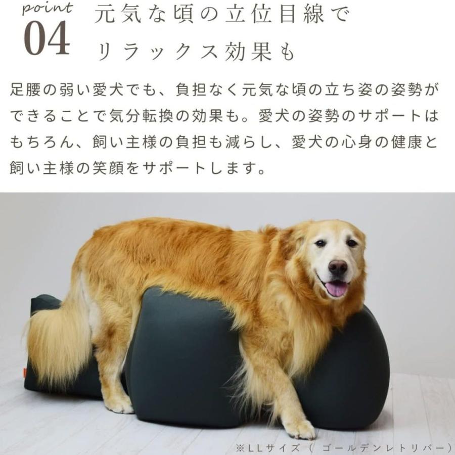 OneAid リラクッション LLサイズ お色味：チャコールグレー