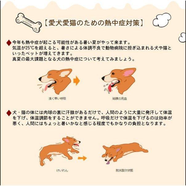 犬夏クール 夏服 クール 冷感 クールタンクスカーフ 防水 暑さ対策 熱中症予防 首に巻くだけ クールダウン 首冷やす 冷え Cy9 215 青空ストア 通販 Yahoo ショッピング