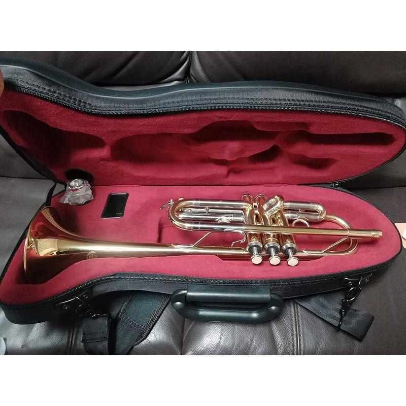 激安価格の ｃ管トランペット Weinuo Vtr M360g トランペット Www Collectiviteslocales Fr
