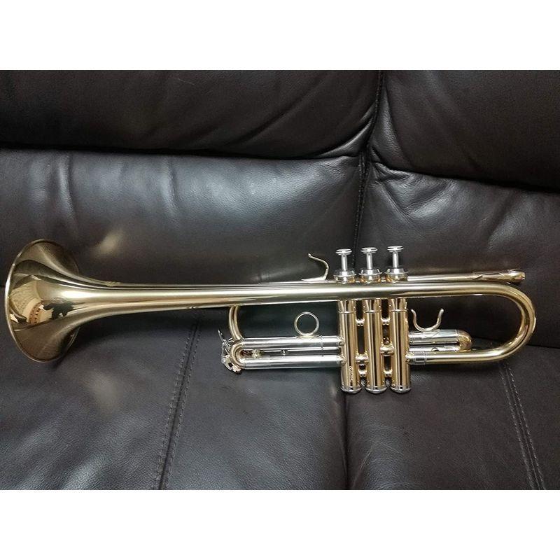 激安価格の ｃ管トランペット Weinuo Vtr M360g トランペット Www Collectiviteslocales Fr