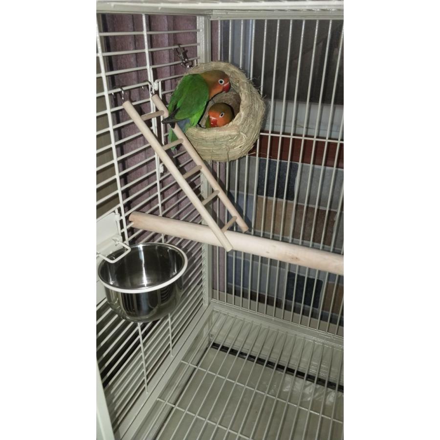 【公式】 バードケージ 鳥の部屋 大型インコ用 鳥籠 鳥かご 飼育 合金 安定性抜群 室内外兼用 組立式 移動便利 おうむ 小鳥 輪付 【HOV1393879654】(48807円)