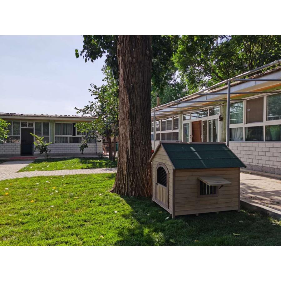 犬小屋 犬用品 小型犬用 別荘 木製犬舎 豪華別荘 組立式 犬 庭用 松の木 小動物ケージ 丈夫 新品 飼育ケージ 組立式 屋外 野外 庭用 転倒防止 Cw 037 Bluestore