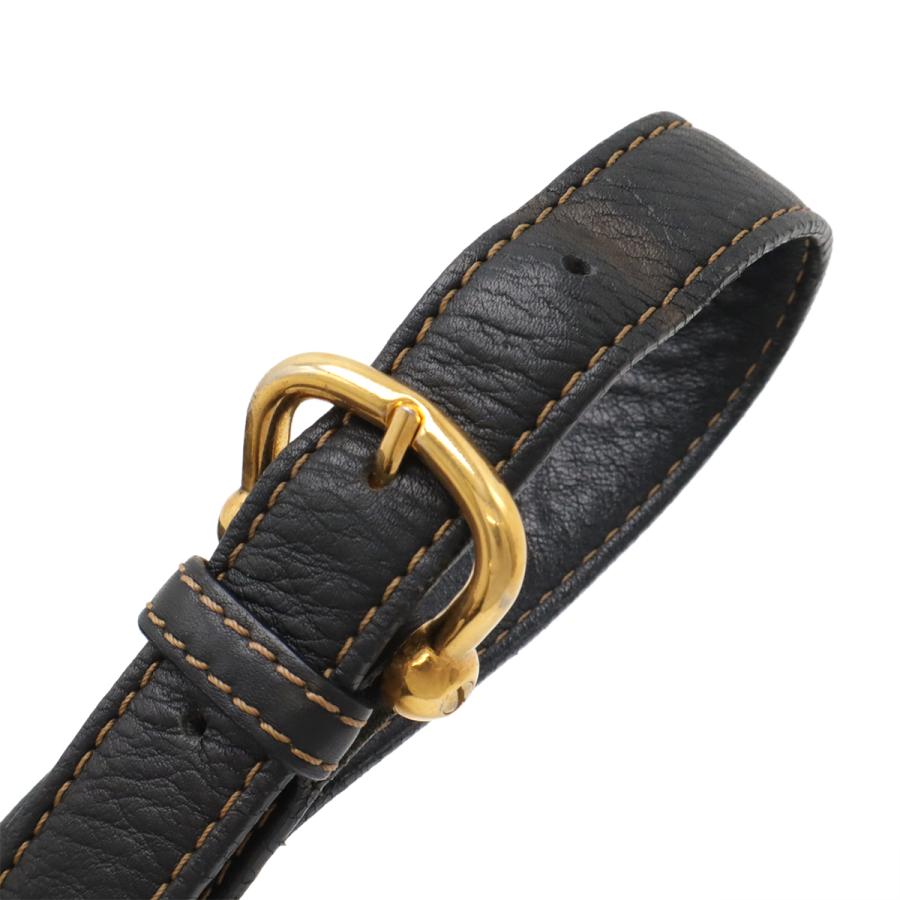 LOEWE ロエベ アントン ショルダーバッグ 斜め掛け レザー ブラック 黒 ゴールド金具 ポーチ付き | LOEWE | 05