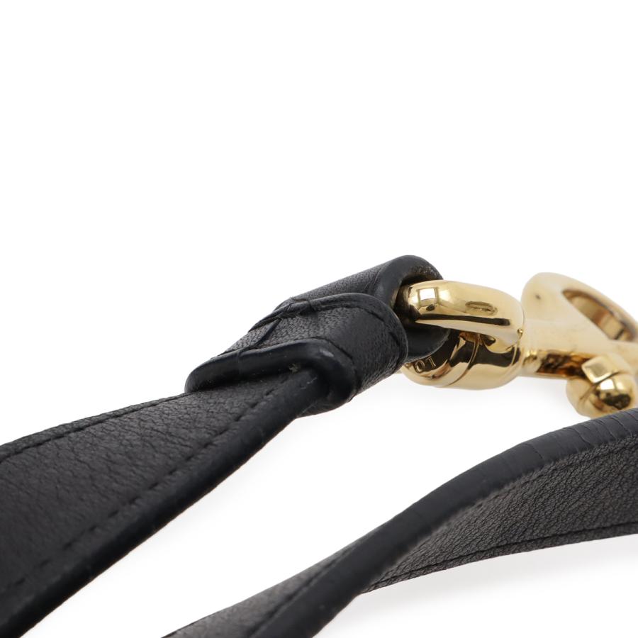 LOEWE ロエベ フスタ31 ハンドバッグ ミニボストンバッグ 2WAY ショルダーバッグ レザー ブラック 黒 ゴールド金具 316.26.F24 | LOEWE | 06