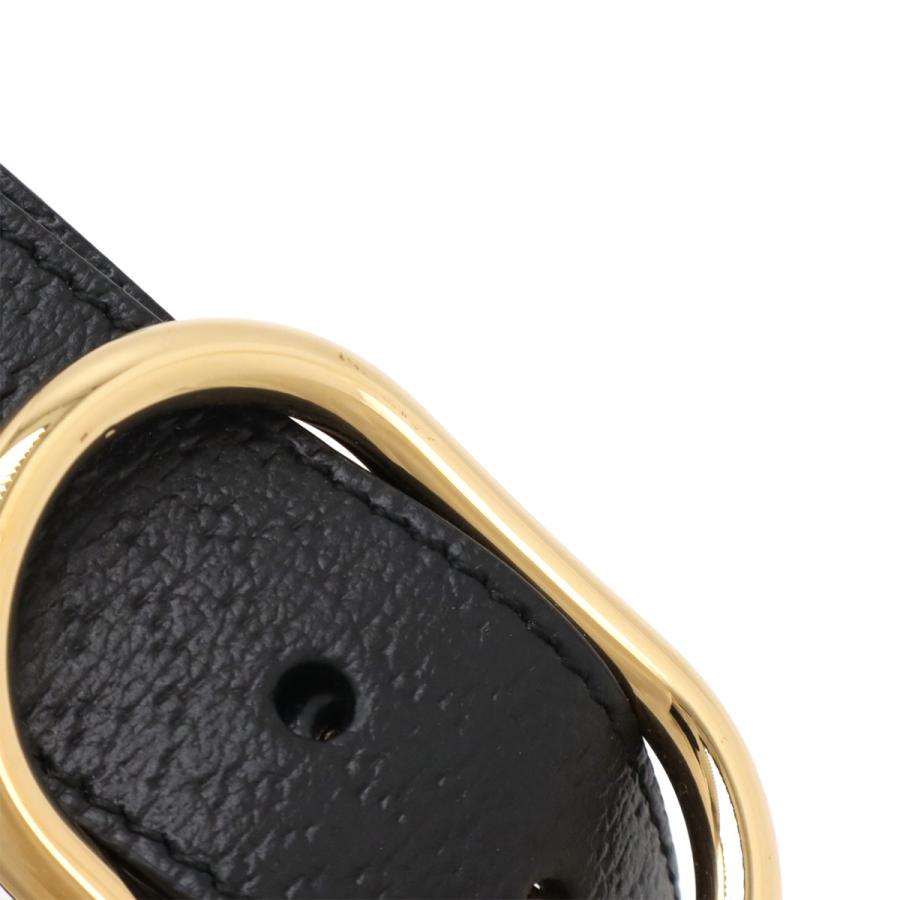 GUCCI グッチ ペット ハーネス 犬 胴輪 レザー ブラック 黒 ゴールド金具 Lサイズ 695253 | GUCCI | 02