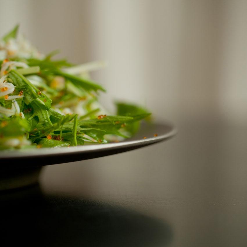 SyuRo(シュロ) / せっ器plate M(黒) / SP-M-02 | 食器/せっき/SEKKI/プレート/Black/鉄釉 | 117272 | SyuRo | 09