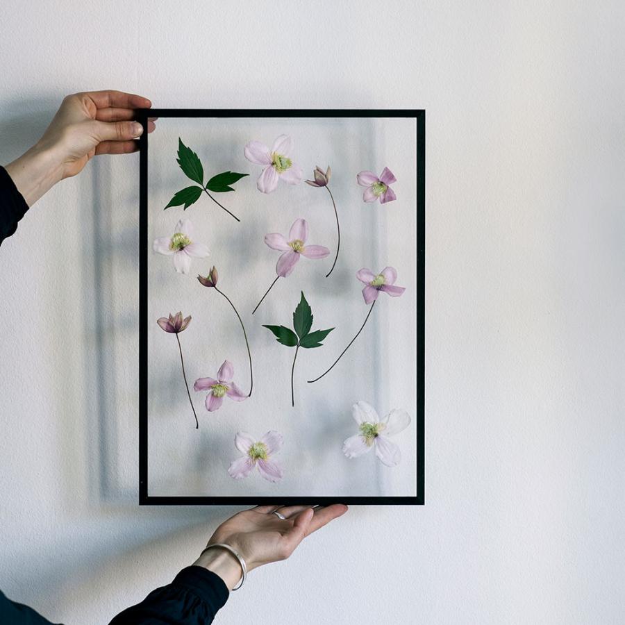 MOEBE / FRAME-A2(Black) | フレーム/アルミニウム/ブラック/額縁/デンマーク/インテリア/ムーベ | 118090 | MOEBE | 09