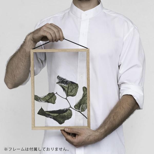 Paper Collective / Floating Leaves 03 A4(Clear)【メール便可 5点まで】【ペーパーコレクティブ/ポスター/フローティングリーヴス/デンマーク】[115712 |  | 01
